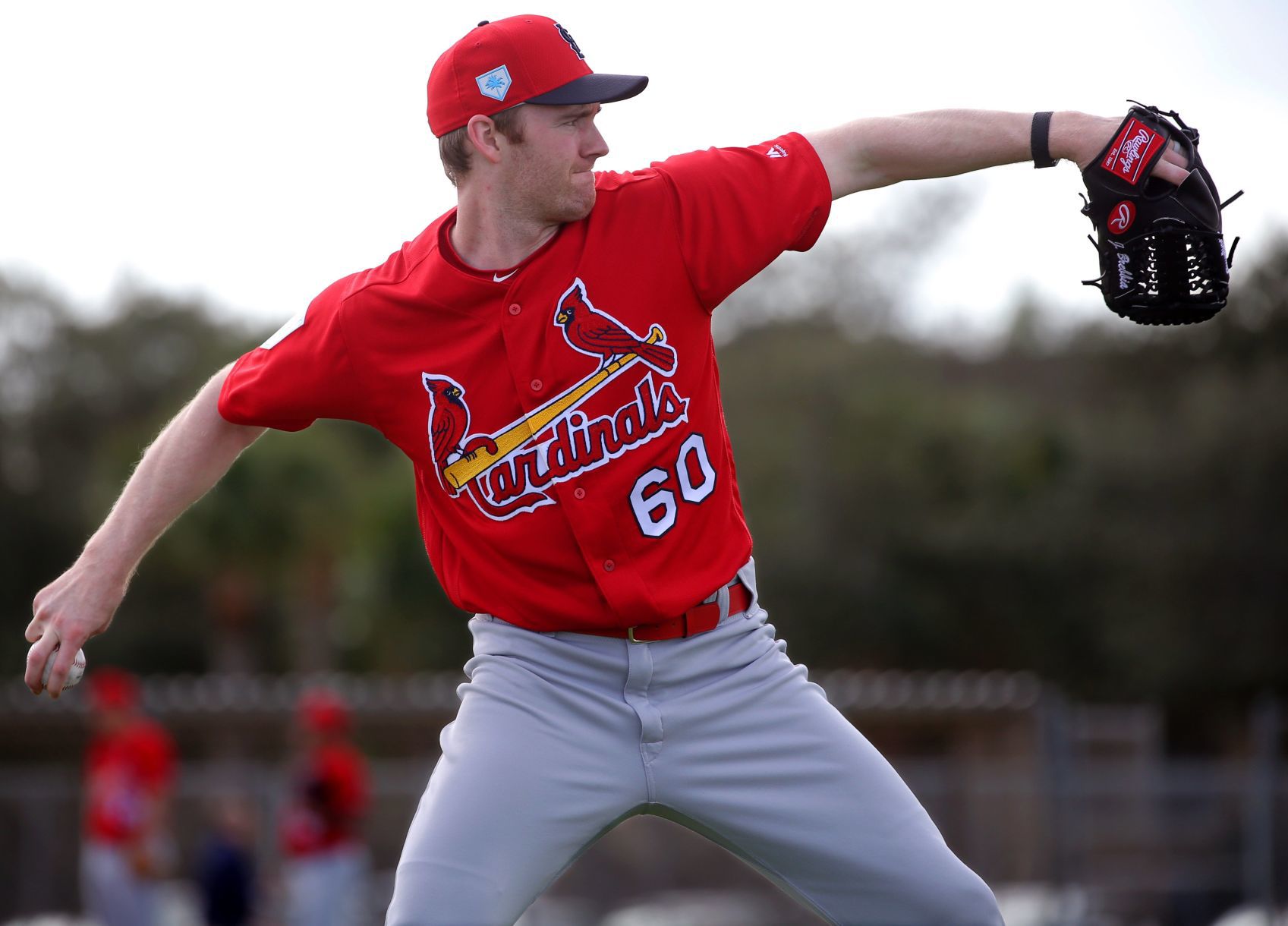 Cardinals spring training continues